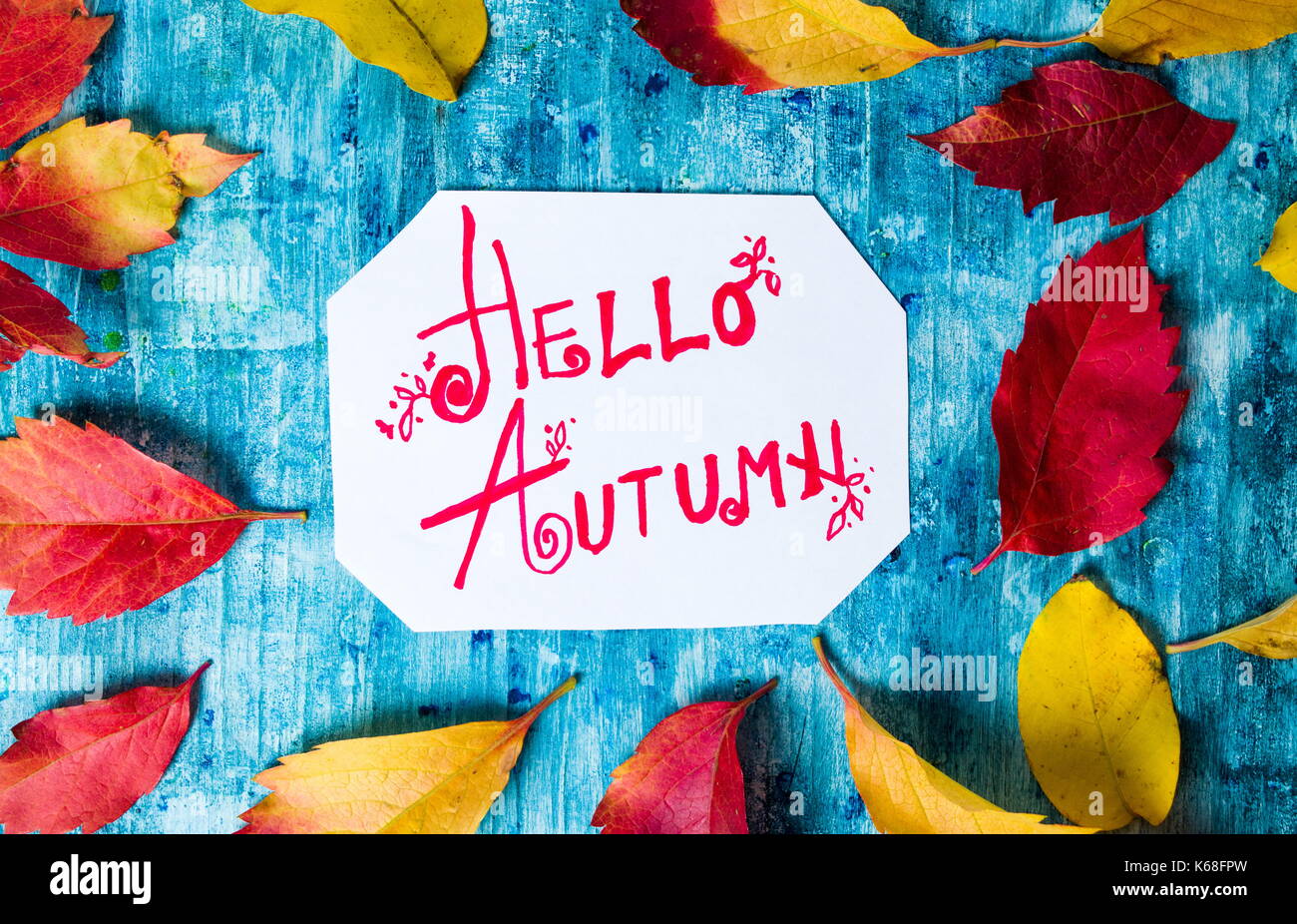 Hello Autumn calligraphy note with fallen leaves on blue board Stock Photo