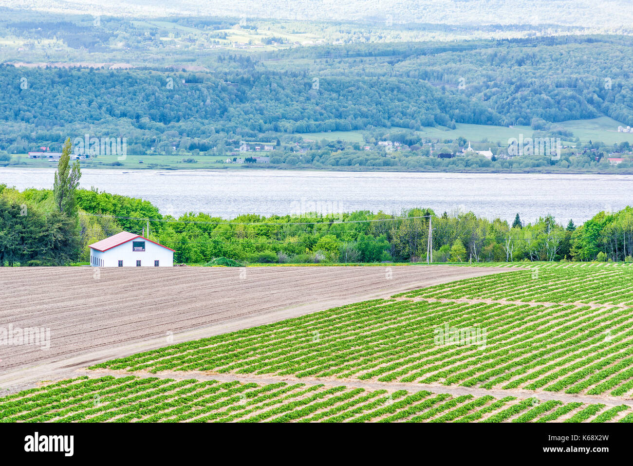 Aerial cityscape landscape view of farmland in Ile D'Orleans, Quebec