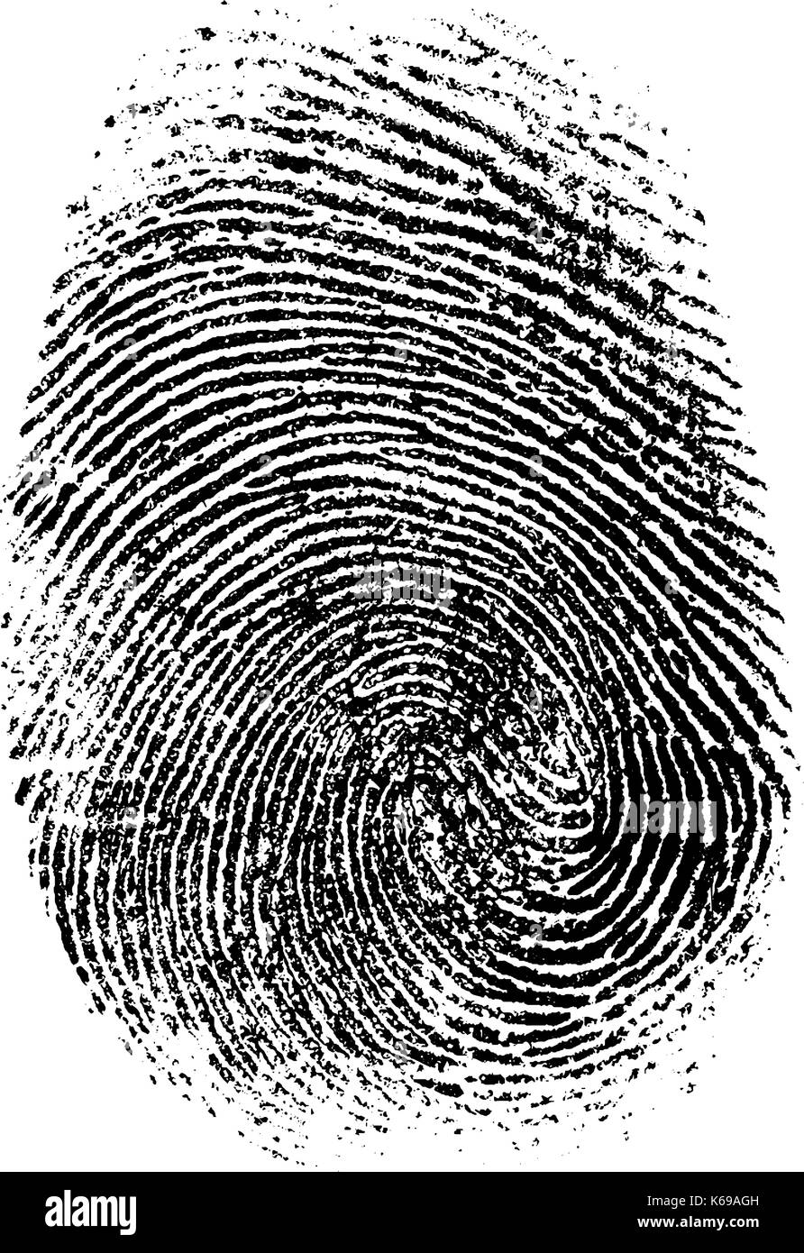 fingerprint vector illustration Stock Vector