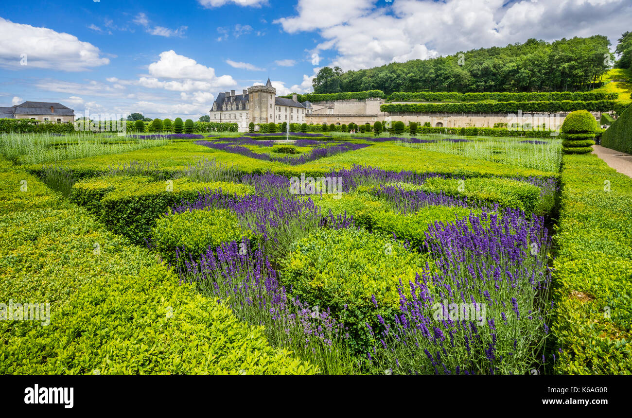 France, Indre-et-Loire department, Château de Villandry, view of the Herb Garden Stock Photo