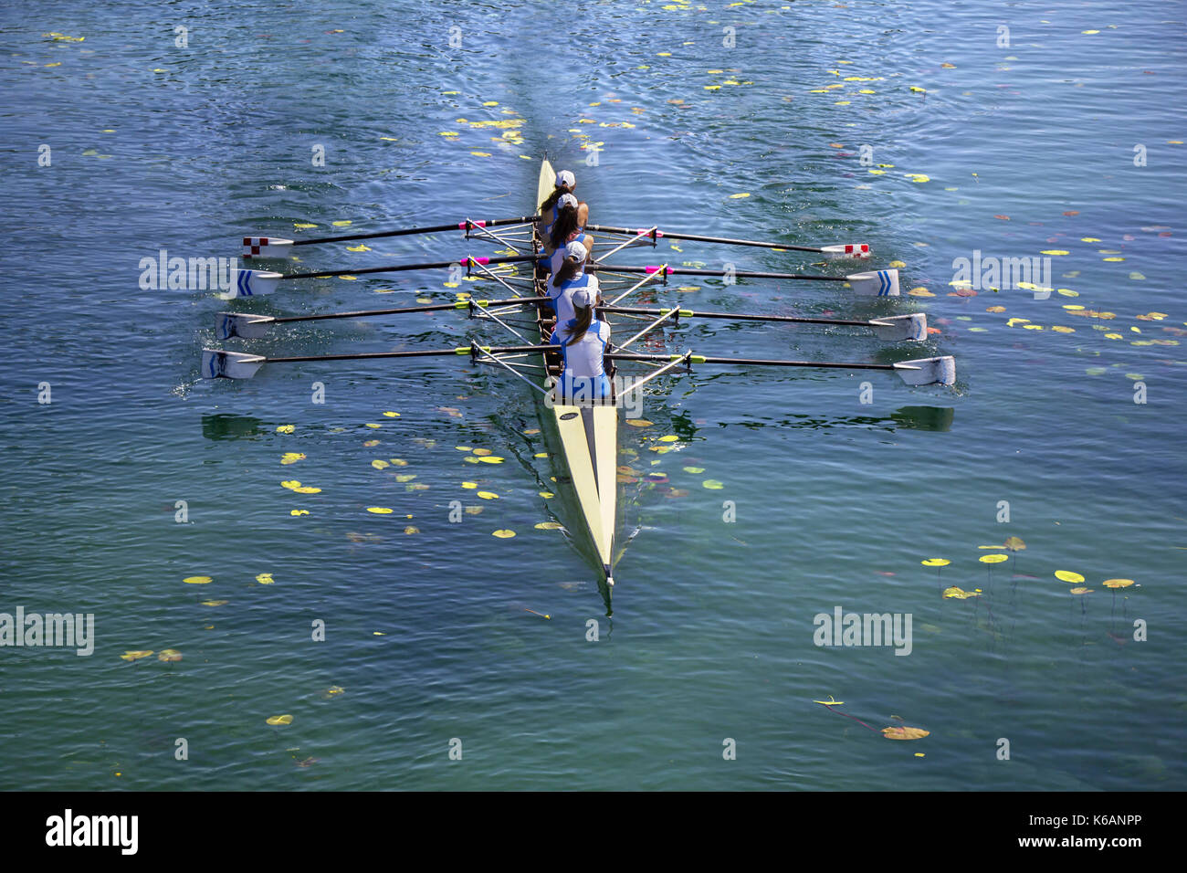 Sculling team rowing on water hires stock photography and images Alamy