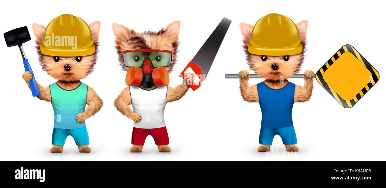 Funny dog in hard hat with hammer Stock Photo Alamy