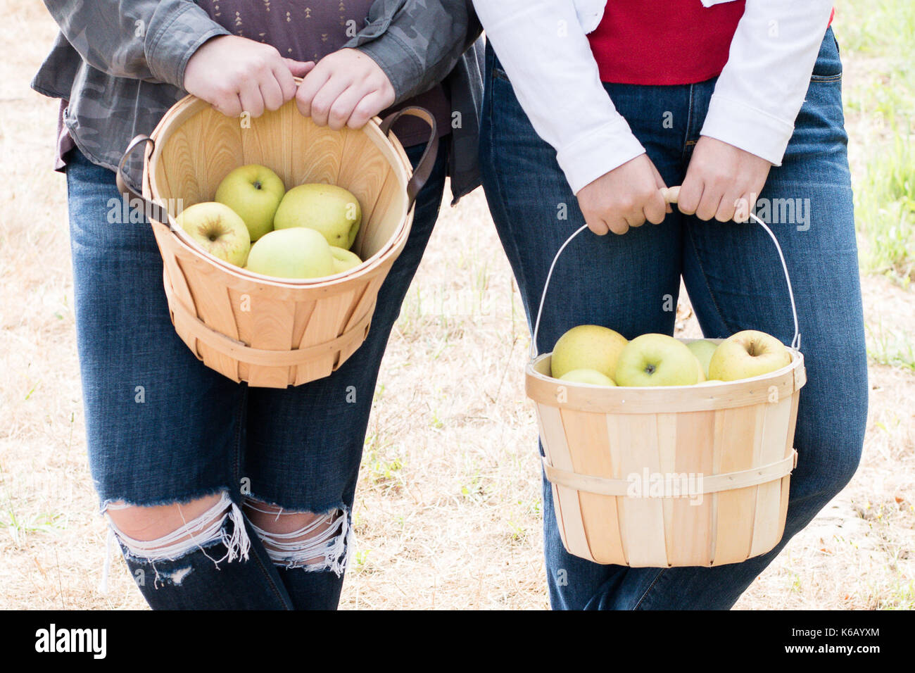 Two women girls holding wooden baskets of apples they picked themselves at an orchard in the fall Stock Photo