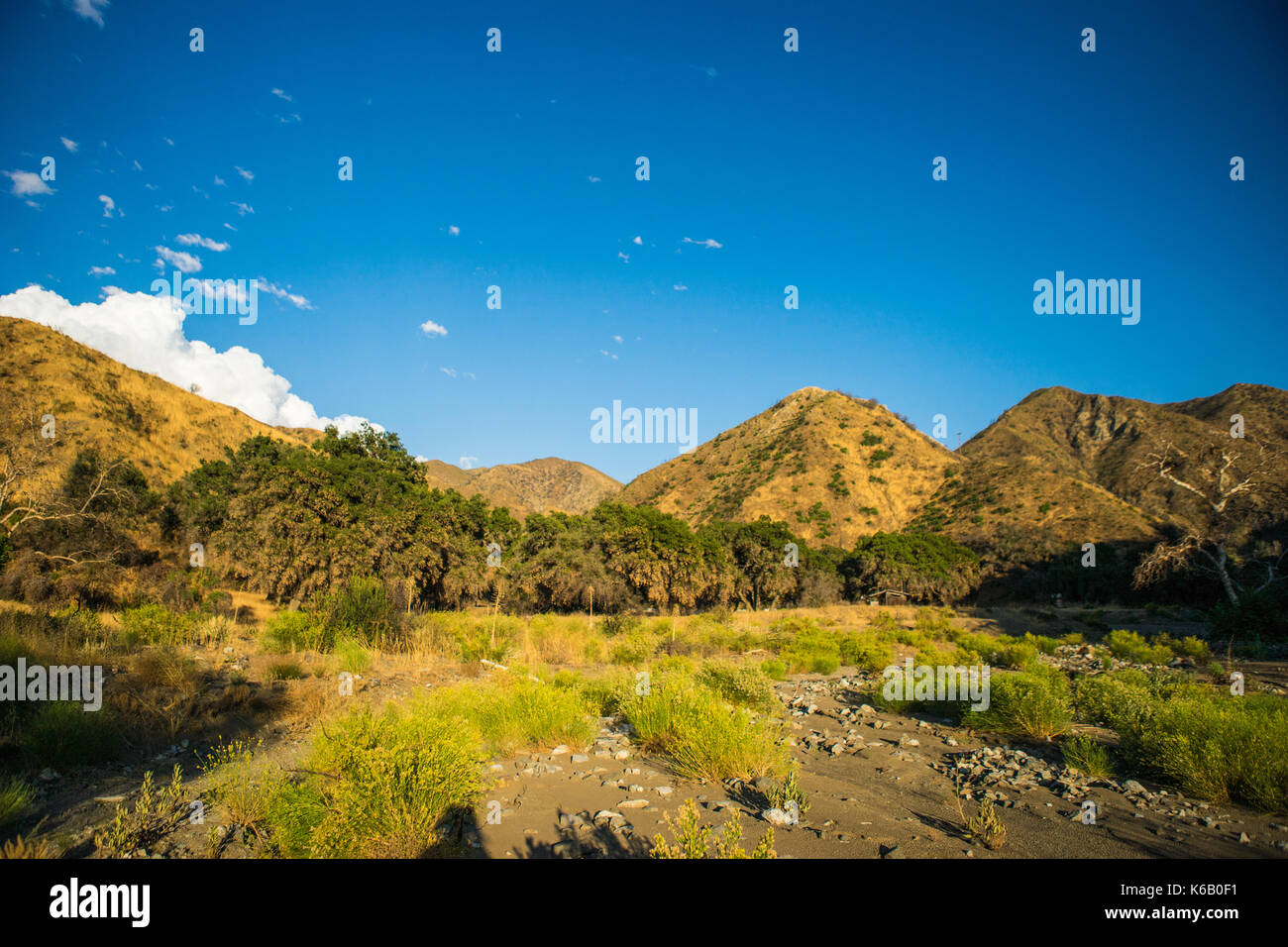 Brush and trees grow along the bottom of a valley in the San Gabriel
