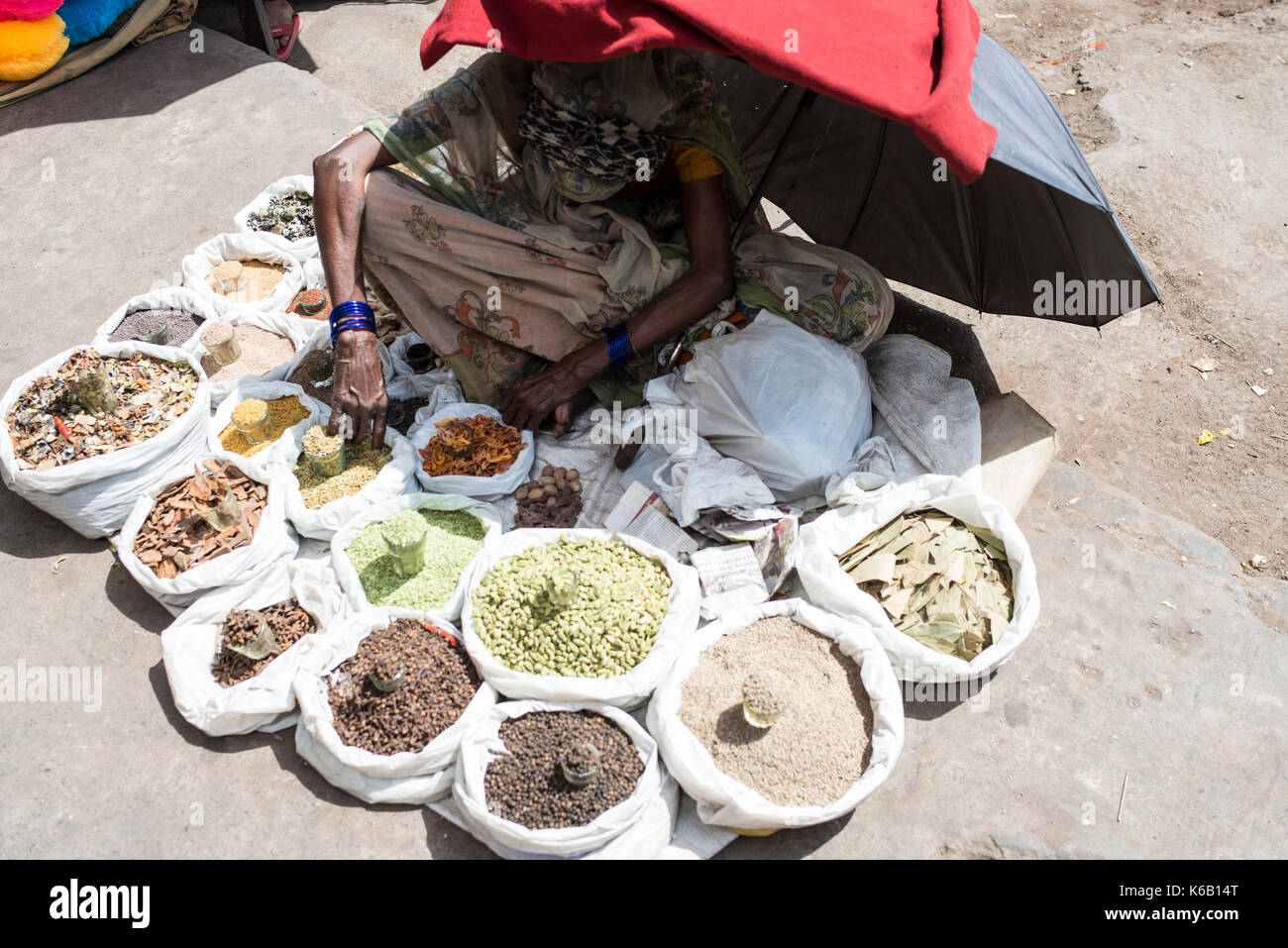 Indian spice vendor, Delhi Stock Photo