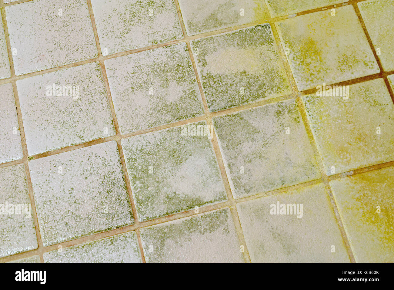 Mold On The Bathroom Tile Floor Stock Photo 158827443 Alamy