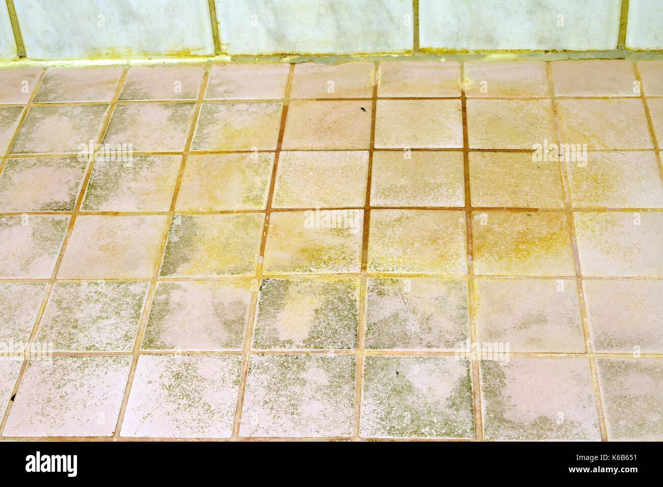 Mold On The Bathroom Tile Floor Stock Photo 158827565 Alamy