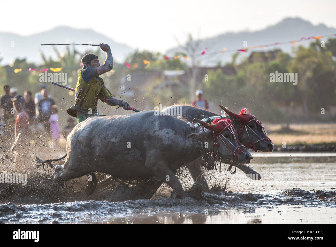 Jereweh, Sumbawa Barat, Indonesia - September 10, 2017: Local race competition held on Sumbawa in Jereweh, Indonesia on September 10, 2017 Photo - Alamy