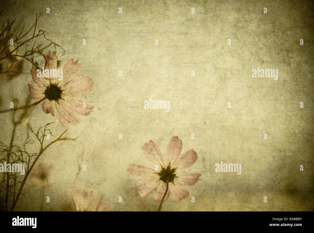 grunge floral background with space for text or image Stock Photo
