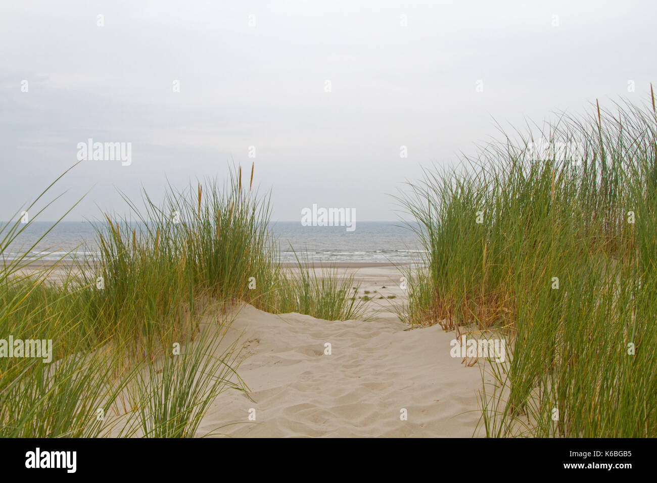 View on the beach and sea from the top of a dune grown with Marram grass Stock Photo