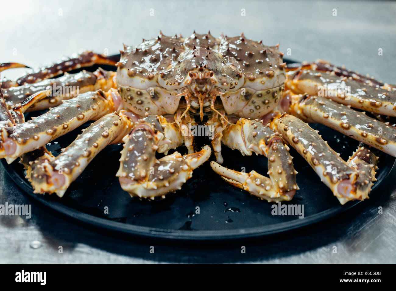 Taraba sea crabs or alaska king crab on black plate Stock Photo
