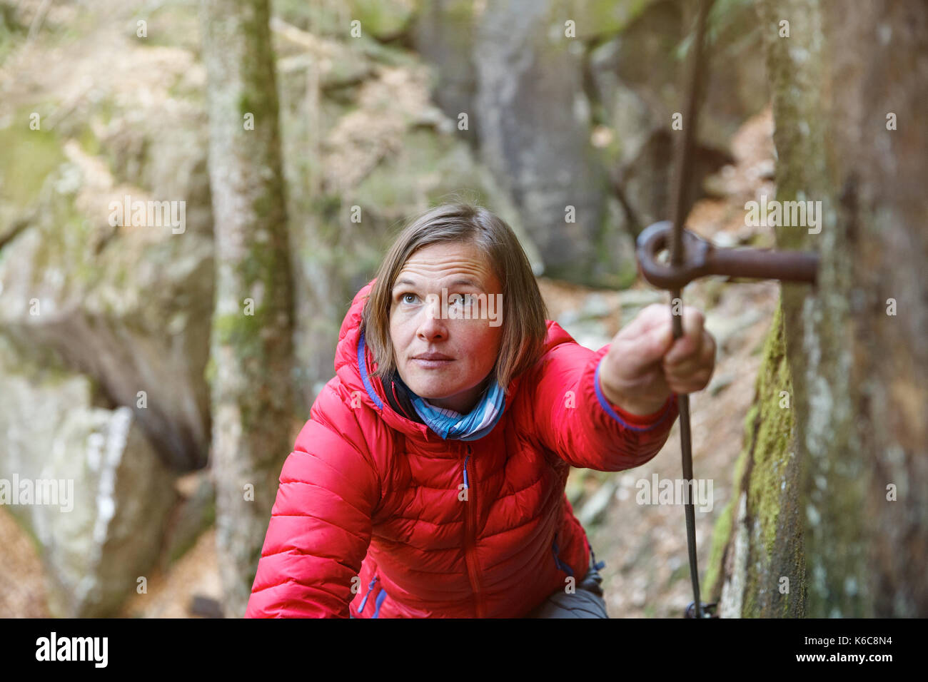 Woman climbing rock in the forest, holding security railing, ascending