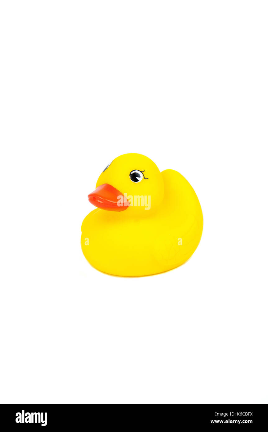 Cute yellow rubber duck isolated over white background Stock Photo - Alamy