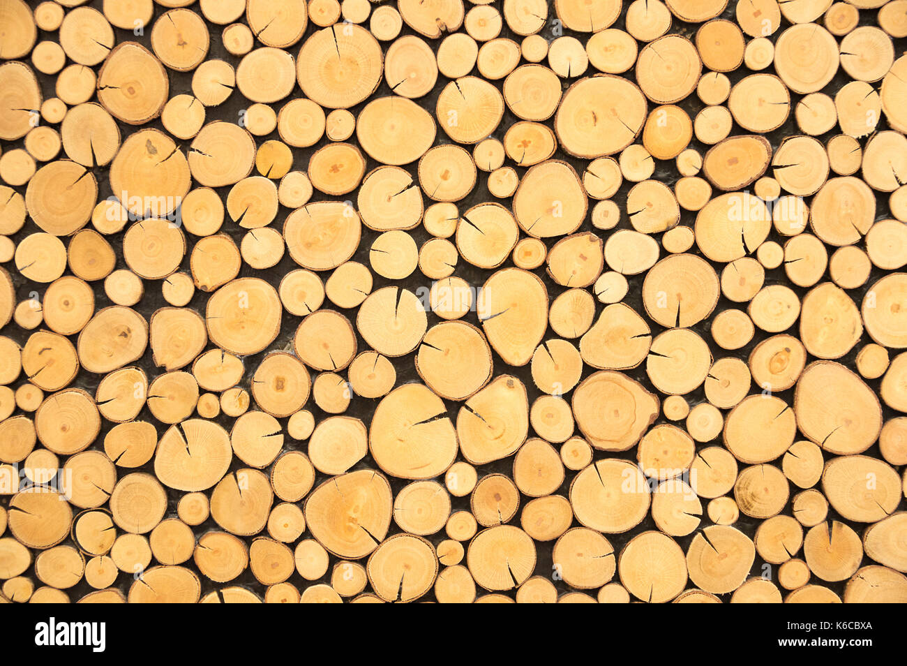 Circular Wood Texture Background Stock Photos & Circular Wood Texture