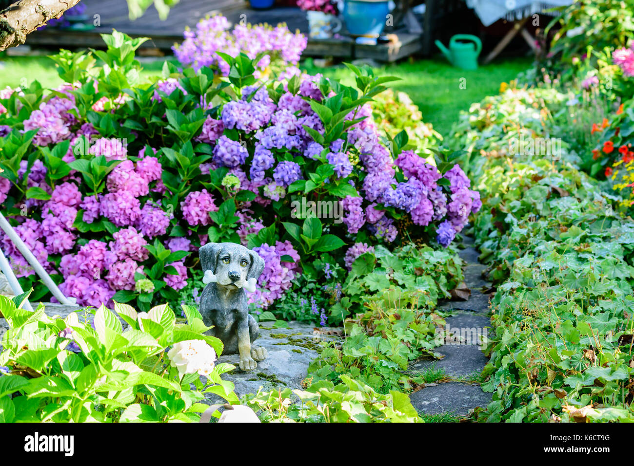 Karlskrona, Sweden - August 28, 2017: Travel documentary of city gardens. Detail of ornamental dog with bone in flowerbed. Stock Photo