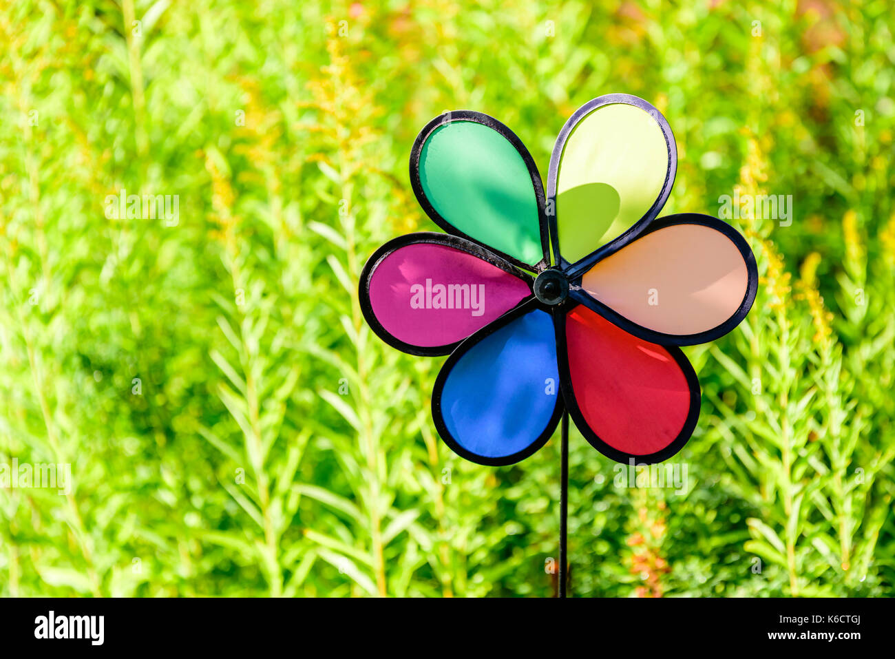 Colorful wind wheel in garden. Blurred background. Stock Photo