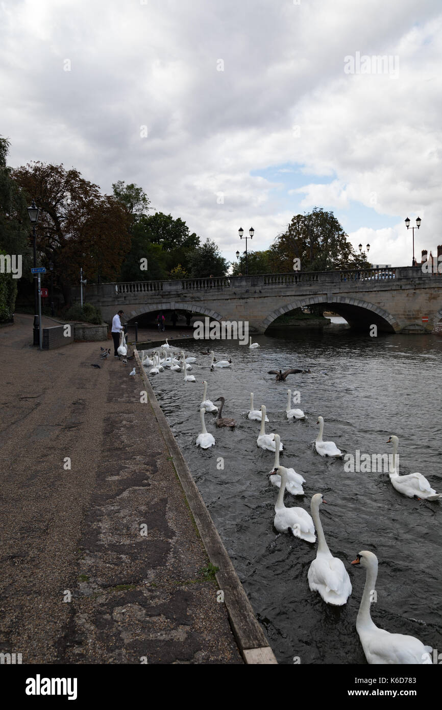 Bedford, UK. 12th Sep, 2017. UK Weather Sunny afternoon in Bedford