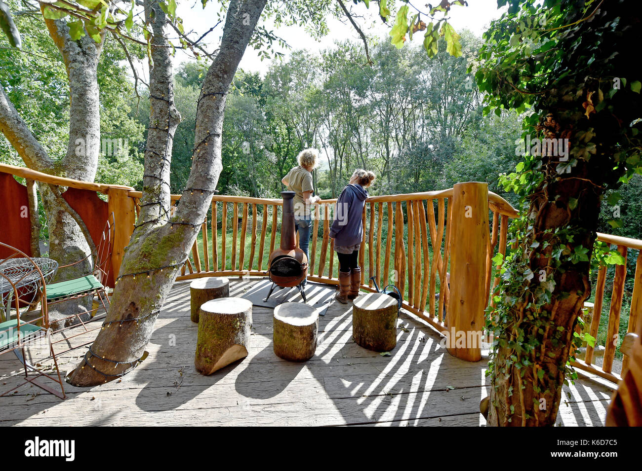 Ditchling Sussex, UK. 12th Sep, 2017. A new tree house has been unveiled at Blackberry Wood campsite near Ditchling in Sussex . The new upmarket tree house called Piggledy has been built by campsite owner Tim Johnson and is larger than the original next door tree house called Higgledy . Credit: Simon Dack/Alamy Live News Stock Photo