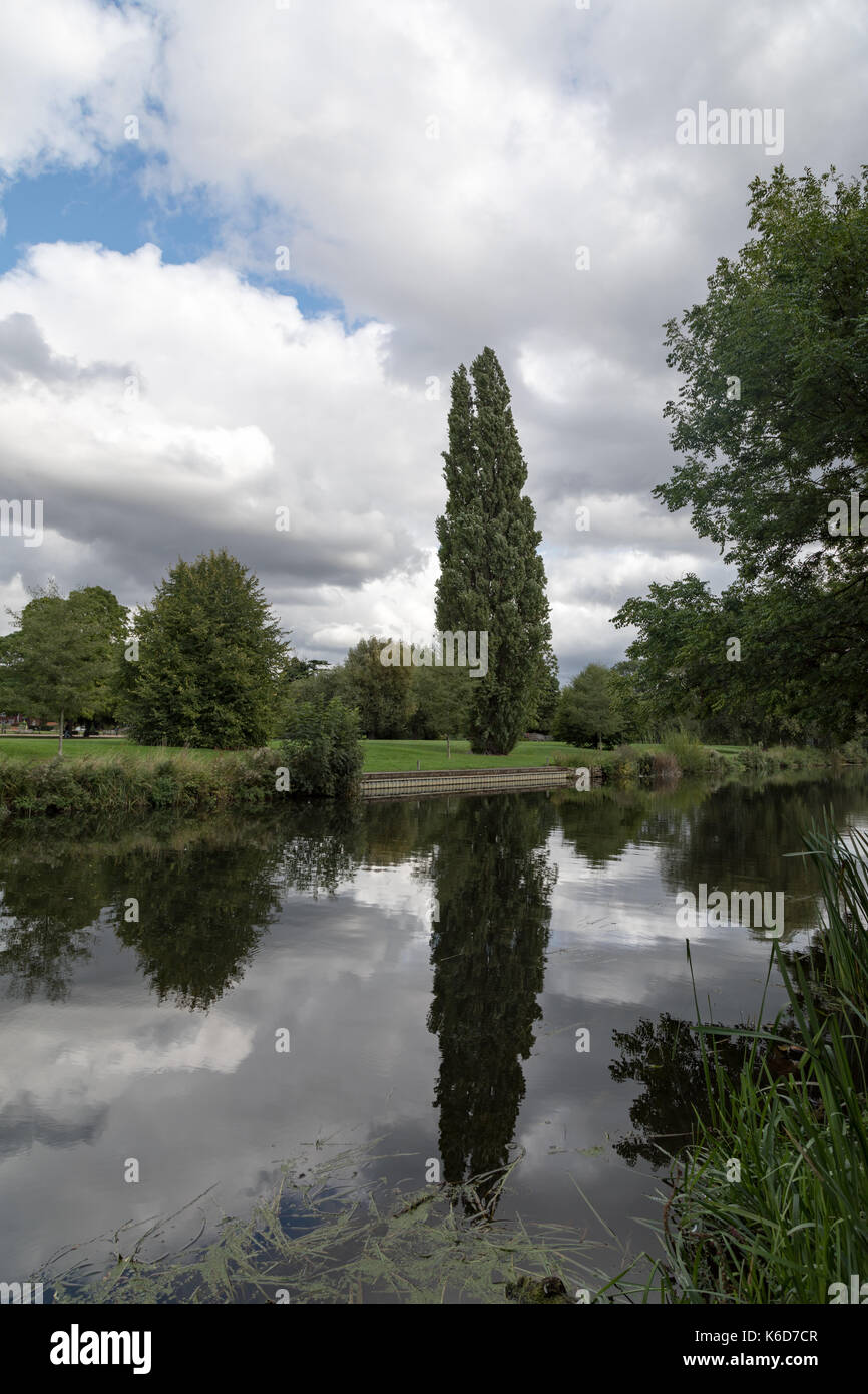 Bedford, UK. 12th Sep, 2017. UK Weather Sunny afternoon in Bedford