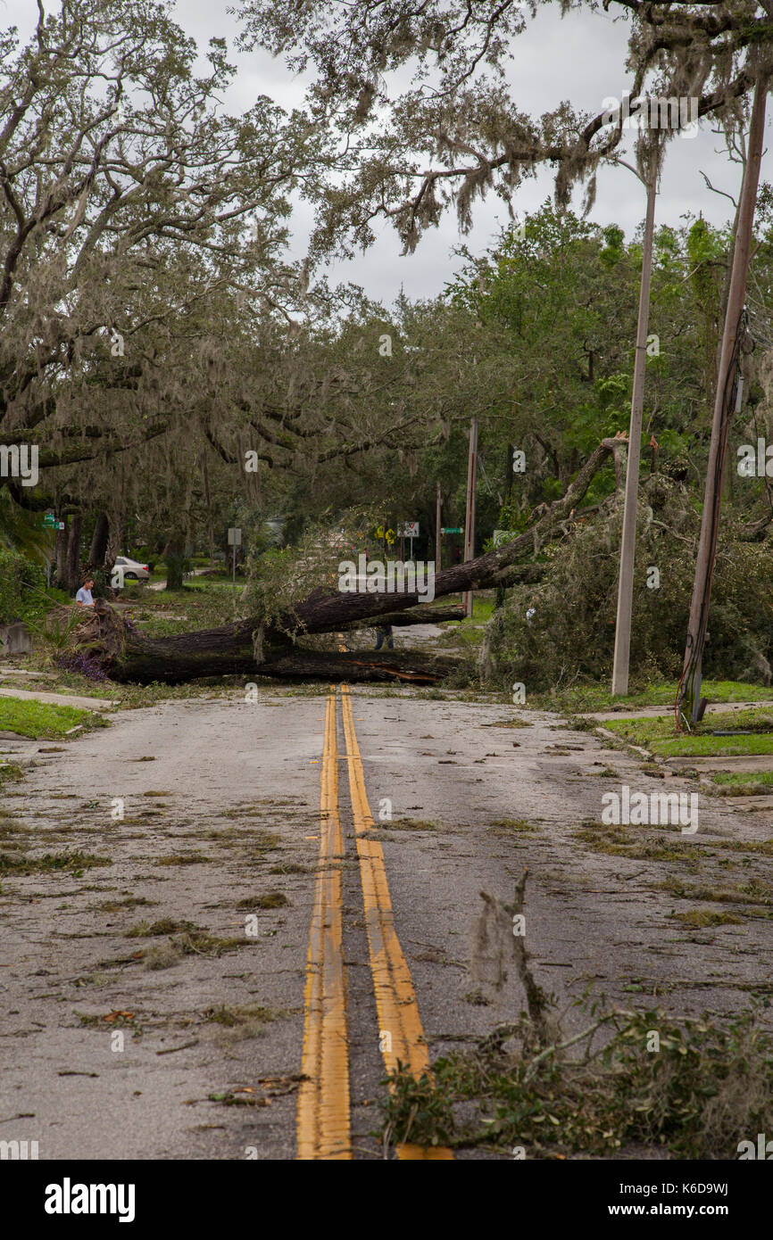 Orlando, USA. 11th Sep, 2017. Hurricane Irma damage in historic downtown Lake Eola Heights neighborhood Orlando Florida September 11, 2017 Credit: Michele Oenbrink/Alamy Live News Stock Photo