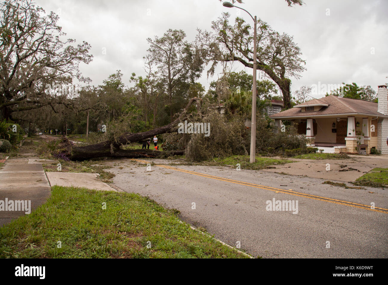 Orlando, USA. 11th Sep, 2017. Hurricane Irma damage in historic downtown Lake Eola Heights neighborhood Orlando Florida September 11, 2017 Credit: Michele Oenbrink/Alamy Live News Stock Photo