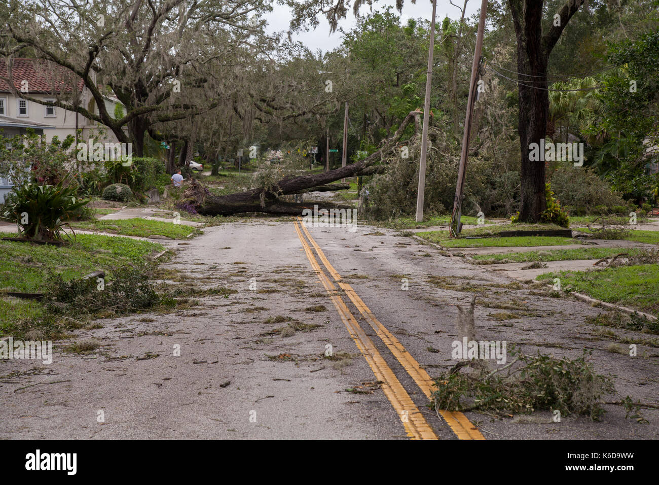 Orlando, USA. 11th Sep, 2017. Hurricane Irma damage in historic downtown Lake Eola Heights neighborhood Orlando Florida September 11, 2017 Credit: Michele Oenbrink/Alamy Live News Stock Photo