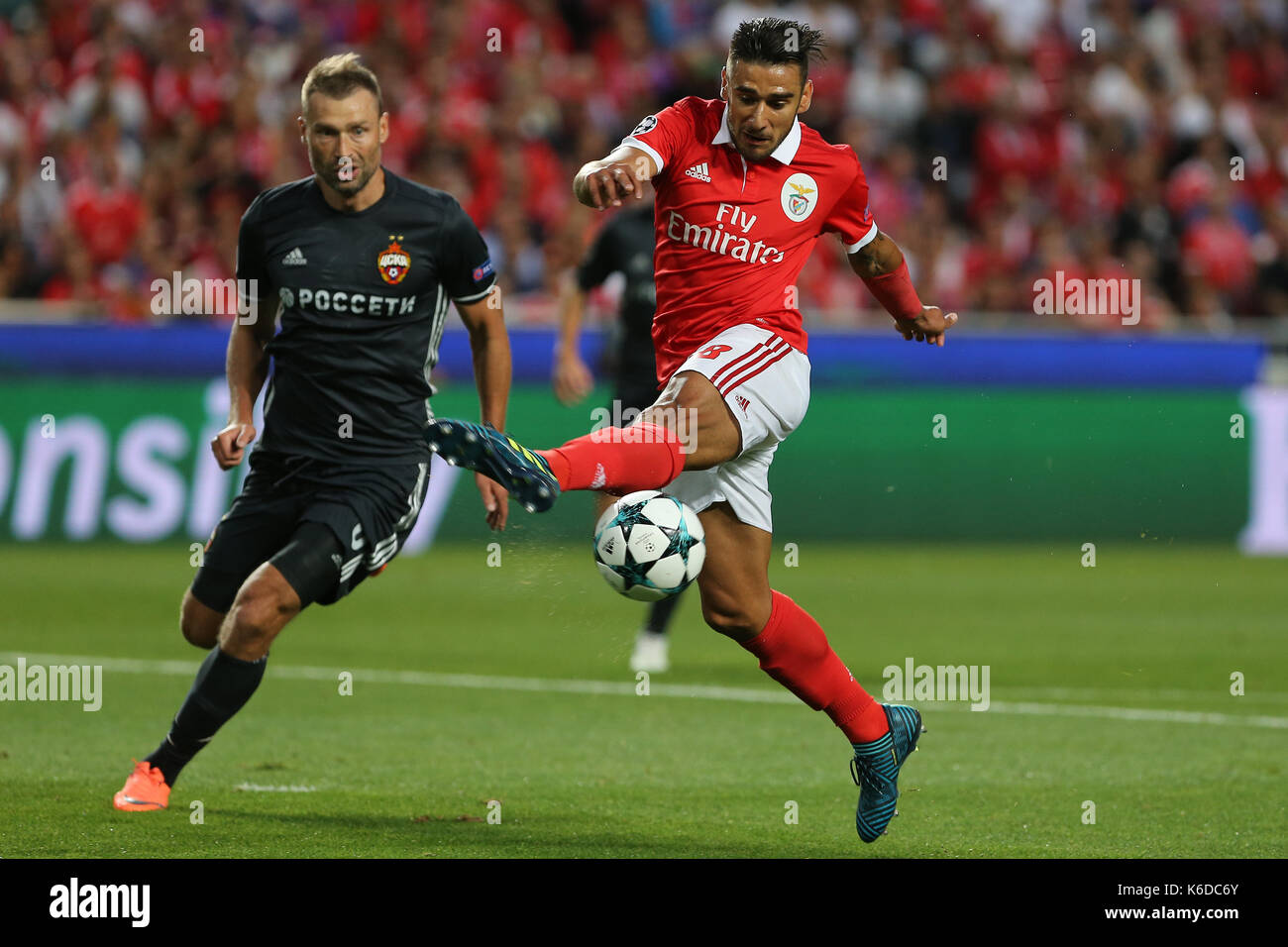 Toto salvio hi-res stock photography and images - Alamy