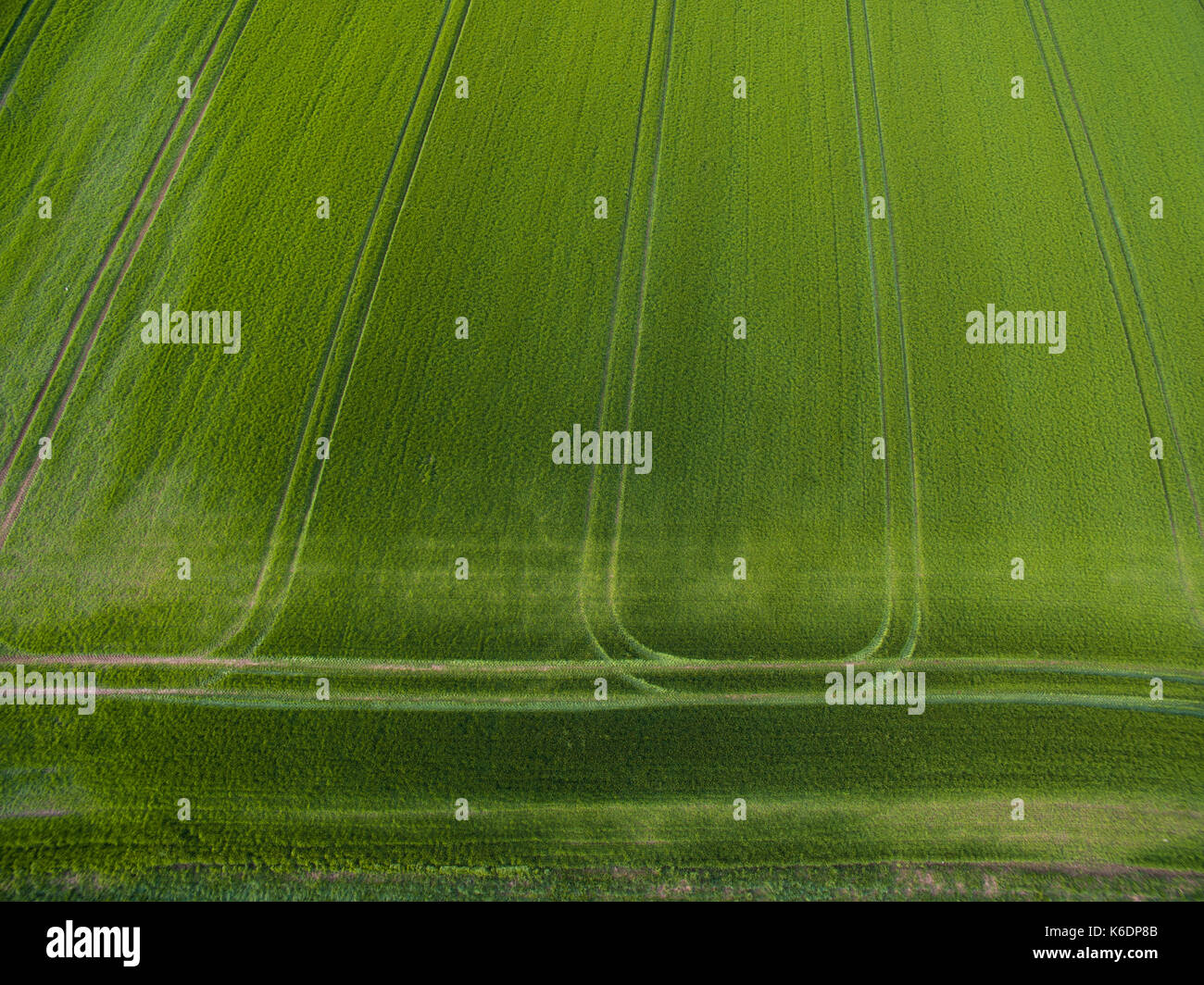 Farmland from above - aerial image of a lush green filed Stock Photo ...