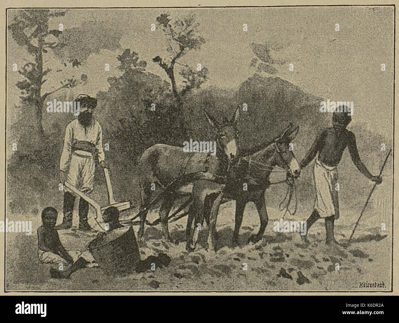 African expedition 1914 hi-res stock photography and images - Alamy