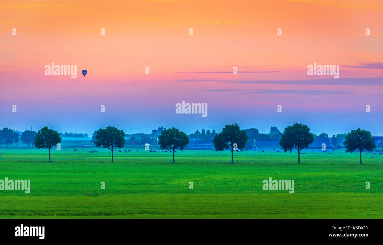 View of meadow with trees in line, orange sky with aerostat, Holland, Netherlands. Stock Photo