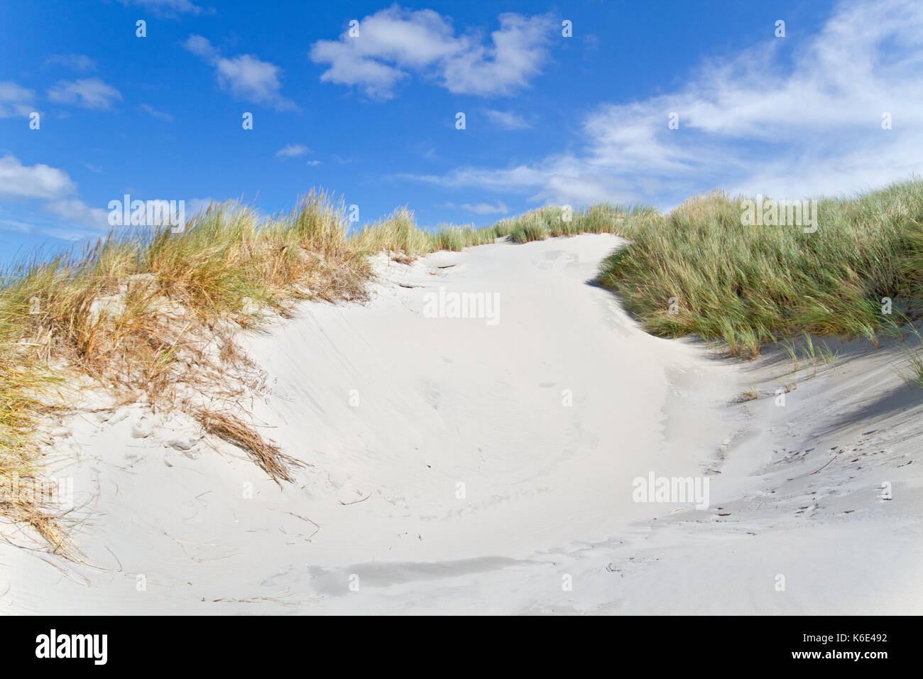 Eroded, windblown dune, on top grown with Marram grass Stock Photo