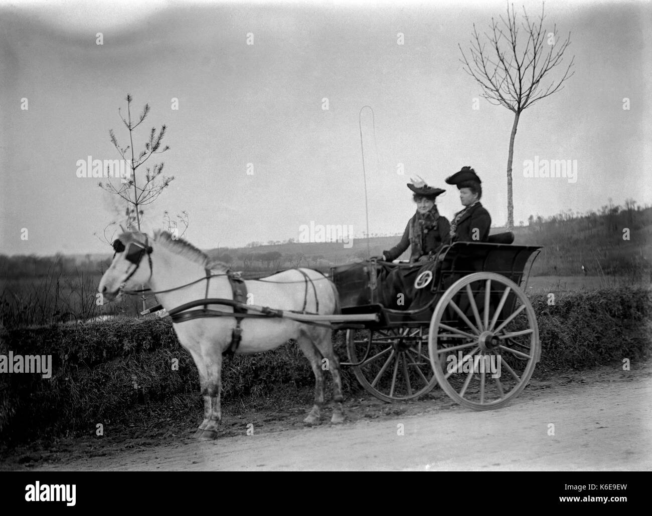 AJAXNETPHOTO. 1891-1910 (APPROX). SAINT-LO REGION, NORMANDY.FRANCE. - TWO LADIES IN A TRAP POSE FOR THE CAMERA ON A COUNTRY ROAD. PHOTOGRAPHER:UNKNOWN © DIGITAL IMAGE COPYRIGHT AJAX VINTAGE PICTURE LIBRARY SOURCE: AJAX VINTAGE PICTURE LIBRARY COLLECTION REF:AVL FRA 1890 03 Stock Photo