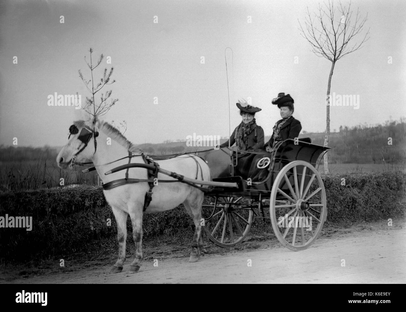 AJAXNETPHOTO. 1891-1910 (APPROX). SAINT-LO REGION, NORMANDY.FRANCE. - TWO LADIES IN A TRAP POSE FOR THE CAMERA ON A COUNTRY ROAD. PHOTOGRAPHER:UNKNOWN © DIGITAL IMAGE COPYRIGHT AJAX VINTAGE PICTURE LIBRARY SOURCE: AJAX VINTAGE PICTURE LIBRARY COLLECTION REF:AVL FRA 1890 05 Stock Photo