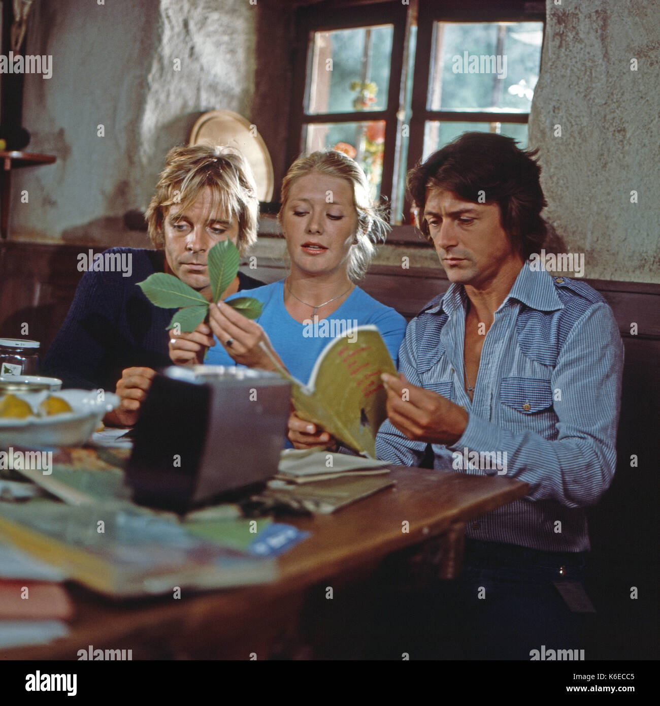 Drei sind einer zuviel, Fernsehserie, Deutschland 1976, Darsteller: Thomas Fritsch, Jutta Speidel, Herbert Herrmann Stock Photo