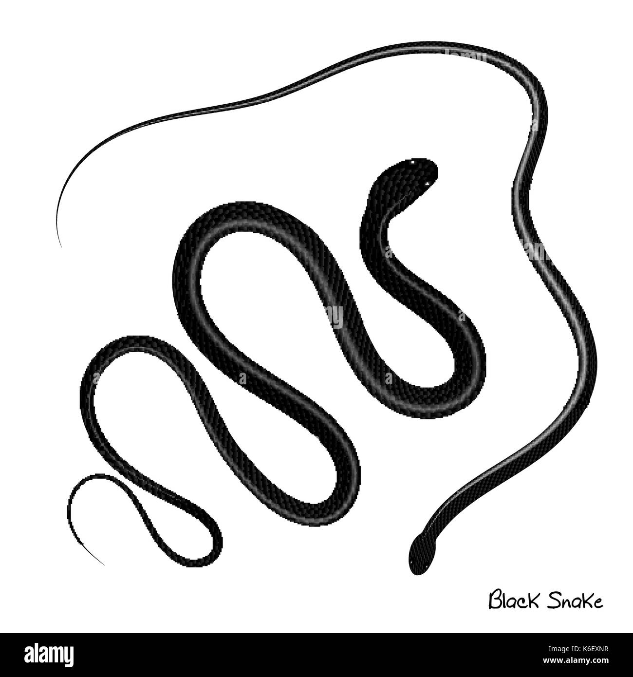 Serpent Black and White Stock Photos & Images - Alamy