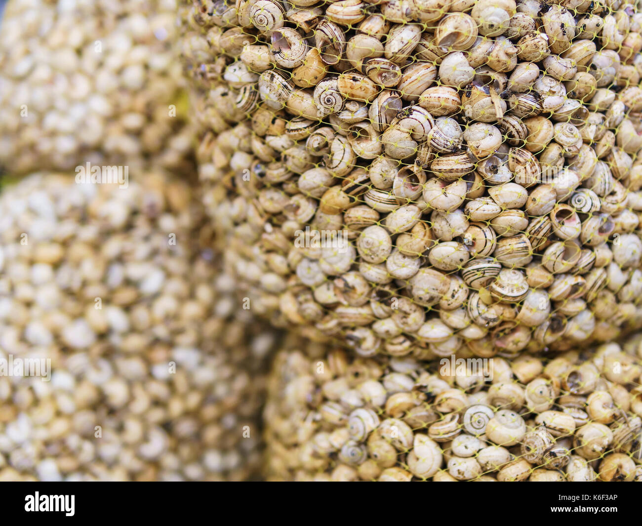 Fresh Caracois Snails Specialty For Sale In Portugal Fish Market Stock Photo