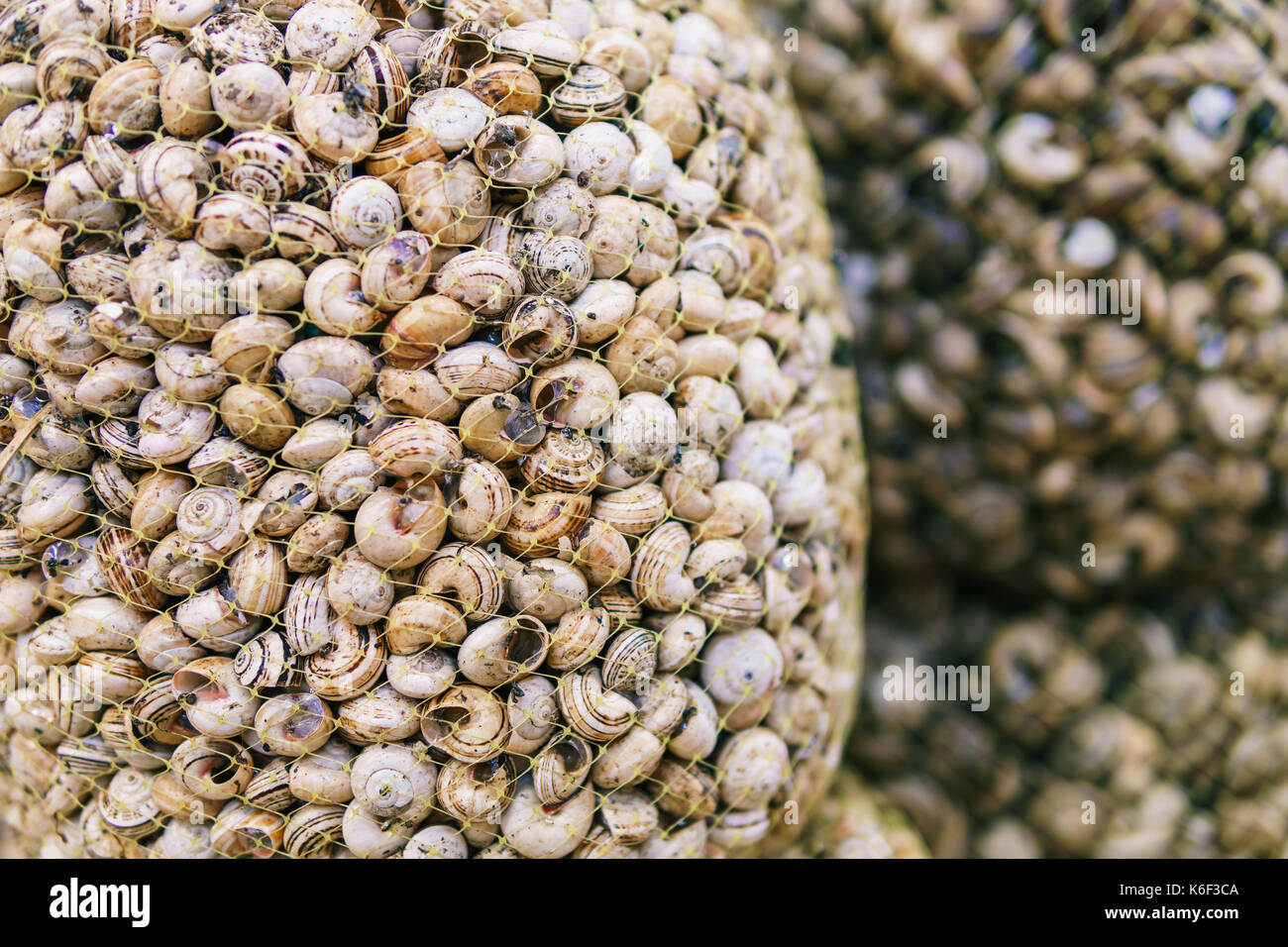 Fresh Caracois Snails Specialty For Sale In Portugal Fish Market Stock Photo