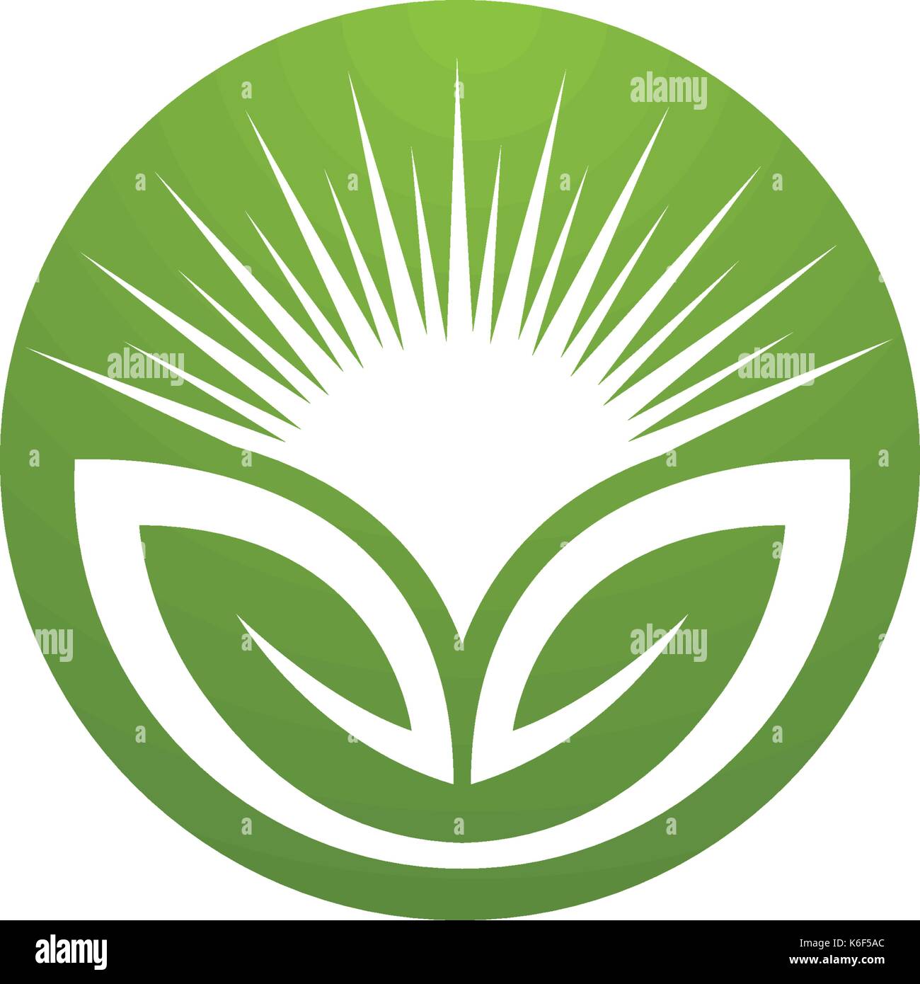 Logos of green leaf ecology nature element vector icon Stock Vector ...