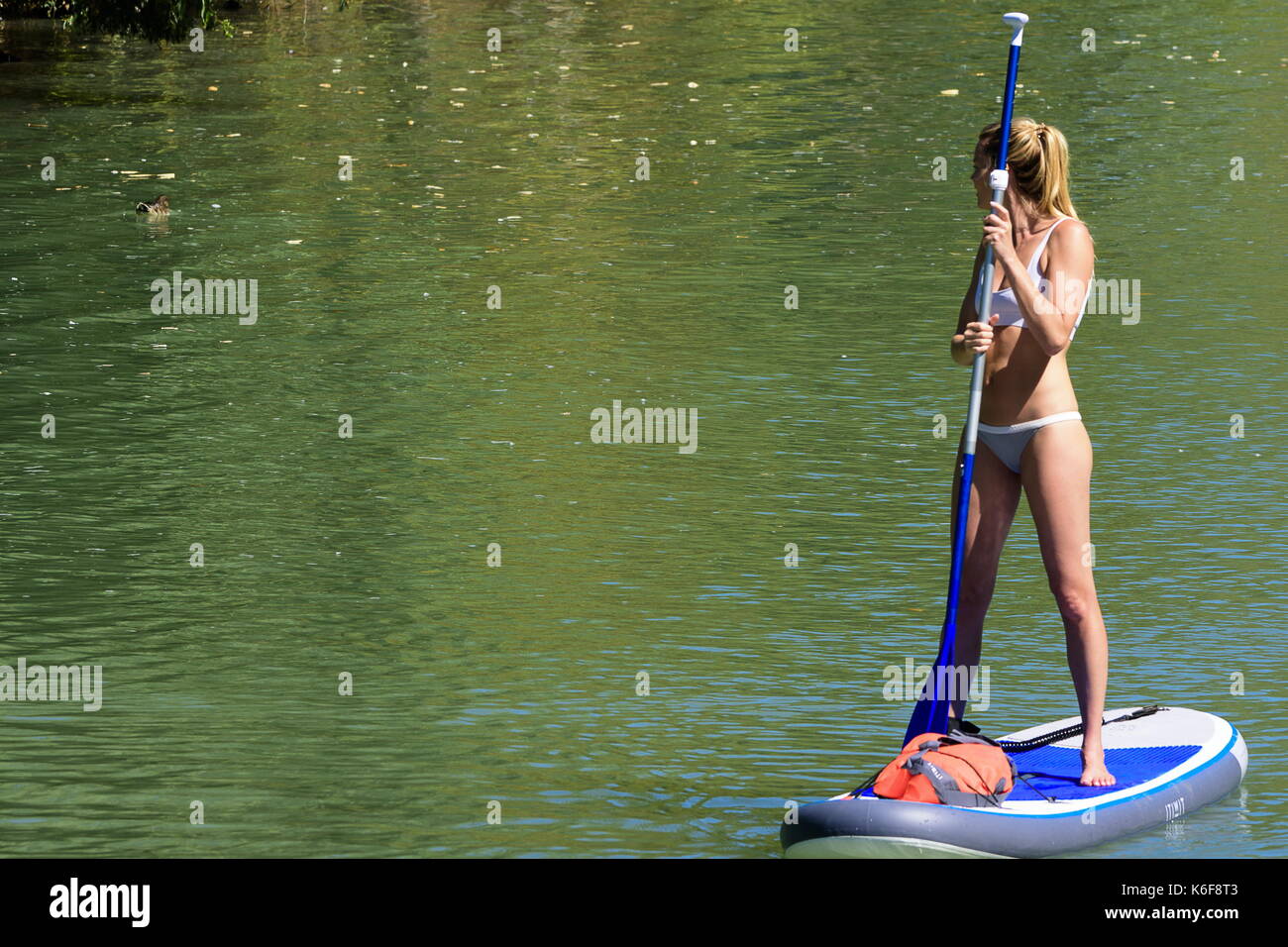 Aranjuez, Madrid, Spain. 10st September, 2017. A woman practicing paddle surf by the Tagus river in Aranjuez, Spain. Stock Photo