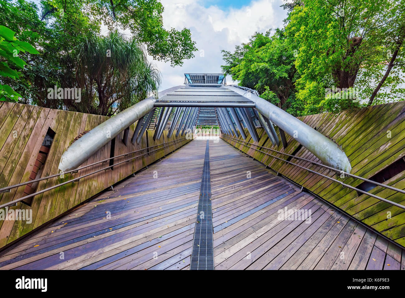 Bridge with nature in Taipei expo park Stock Photo Alamy