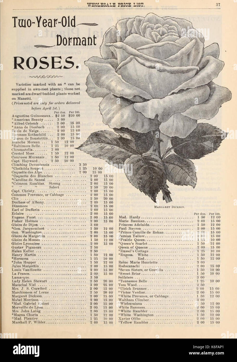 Dreer's wholesale price list (16600033059) Stock Photo