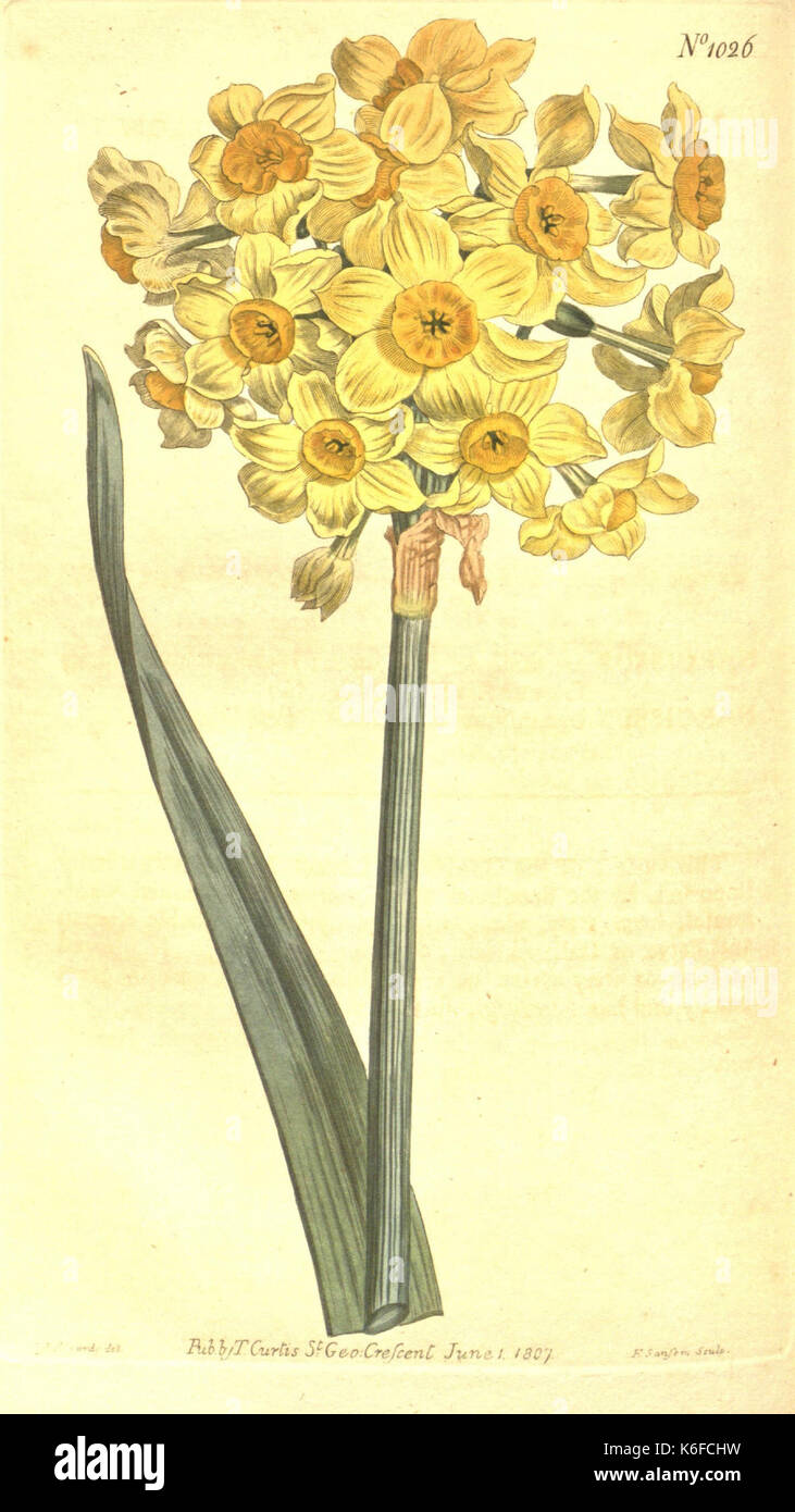 Missouri botanical garden archives hi-res stock photography and images ...