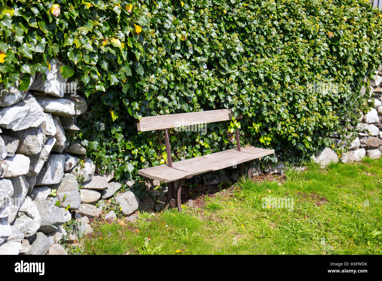 Old bench against dry stone wall with ivy Stock Photo - Alamy