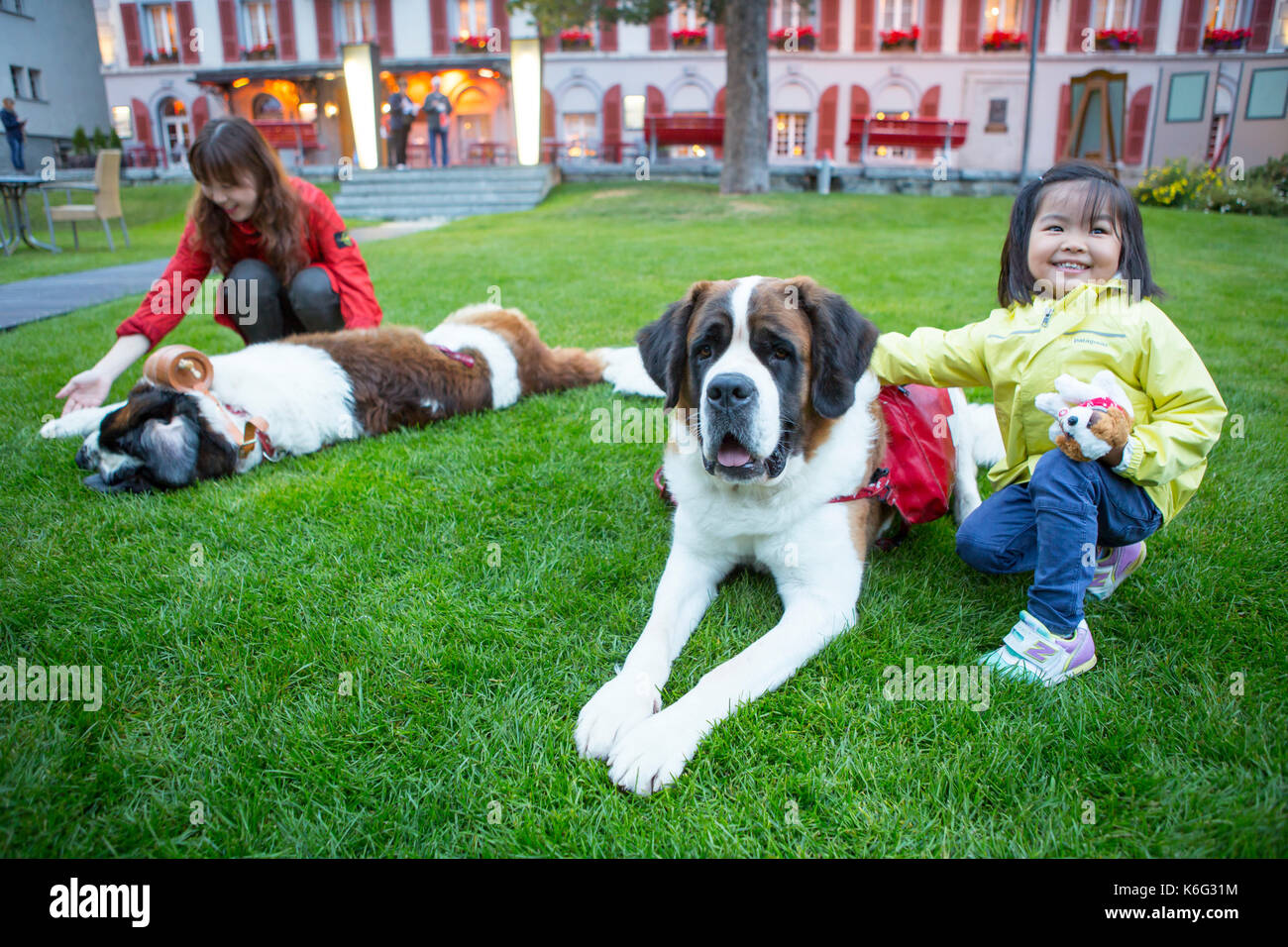 Two Chinese tourists posing with Saint Bernard dogs, Zermatt, Valais, Switzerland Stock Photo