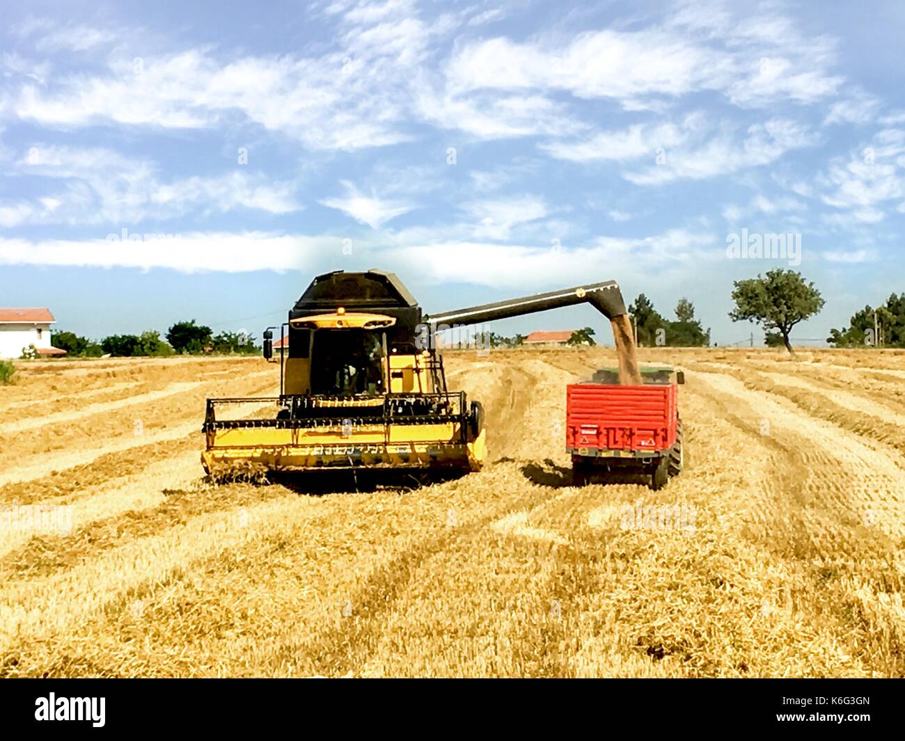 Combine harvester machine harvesting in the field Stock Photo - Alamy