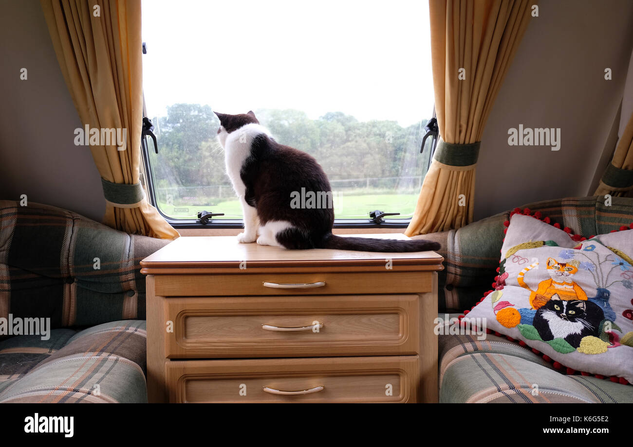 Inside caravan hi-res stock photography and images - Alamy