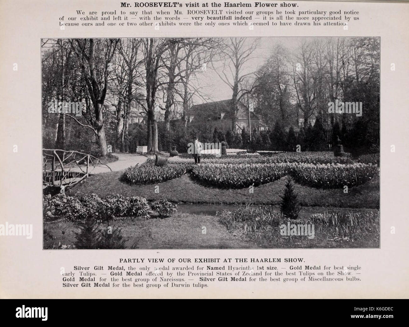 Catalogue of Dutch bulbs (15401031235 Stock Photo Alamy