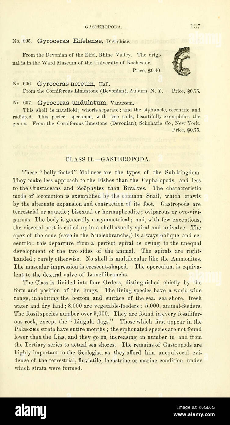 A catalog listing casts of fossils, providing detailed information on
