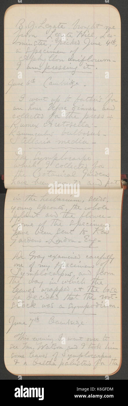 19th century botanical study hi-res stock photography and images - Alamy