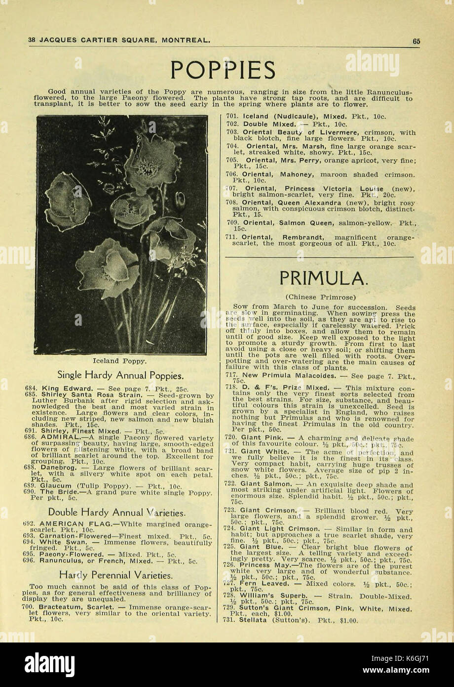 Dupuy and Ferguson materials (Page 65) BHL46962548 Stock Photo